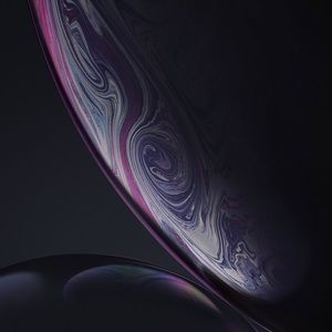 Meet your Posher, Owen